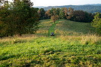 Eds_Farm_20260927_Buggy_006
