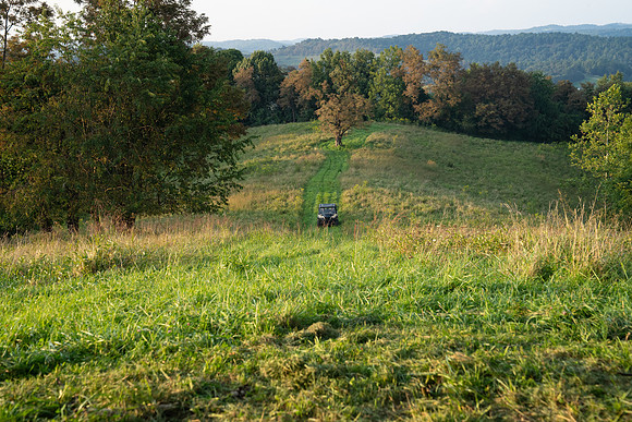 Eds_Farm_20260927_Buggy_006