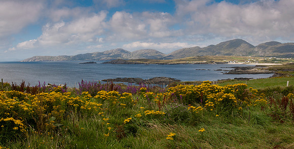 BayFlowers-CountyKerry-Horz
