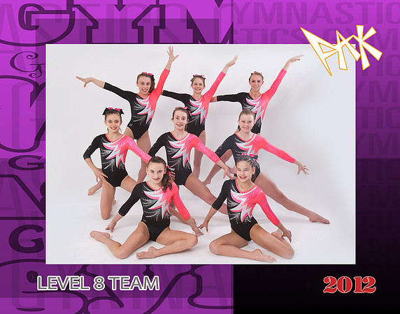 Level8Team2012